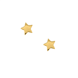 Σκουλαρίκια καρφωτά Αστέρι Κ9