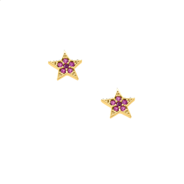 Σκουλαρίκια Αστέρι Κ9 με ζιργκόν