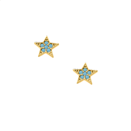 Σκουλαρίκια Αστέρι Κ9 με ζιργκόν