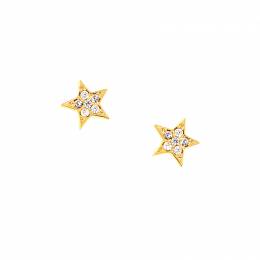Σκουλαρίκια Αστέρι μίνι Κ9 με ζιργκόν